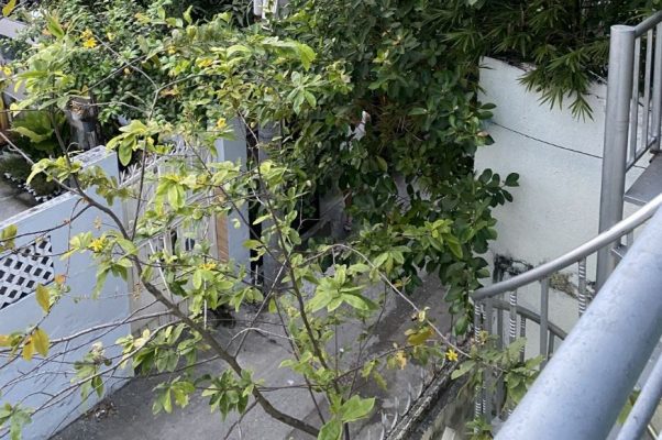 Bán nhà đường Bình Quới Quận Bình Thạnh dưới 5 tỷ