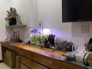 Bán nhà đường Ngô Tất Tố Quận Bình Thạnh dưới 10 tỷ