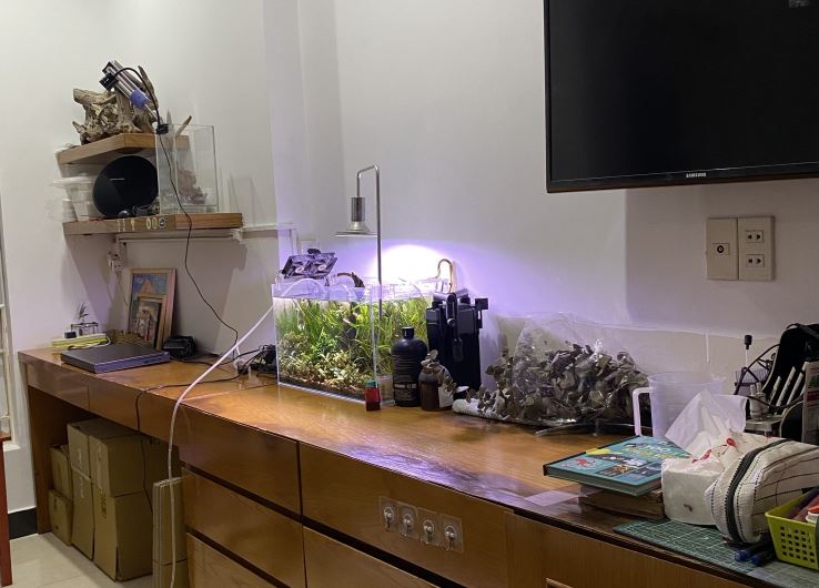 Bán nhà đường Ngô Tất Tố Quận Bình Thạnh dưới 10 tỷ Bán nhà đường Ngô Tất Tố Quận Bình Thạnh dưới 10 tỷ
