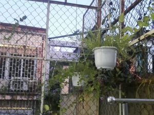 Bán nhà đường Phan Đình Phùng Quận Phú Nhuận dưới 5 tỷ