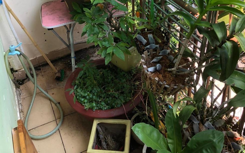 Bán nhà đường Trần Quang Diệu Quận Phú Nhuận dưới 10 tỷ Bán nhà đường Trần Quang Diệu Quận Phú Nhuận dưới 10 tỷ