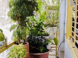 Bán nhà đường Trần Văn Đang Quận 3 dưới 6 tỷ