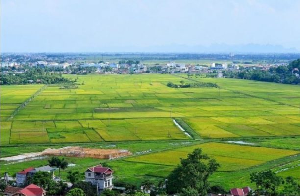 Đất trồng cây hàng năm khác là gì