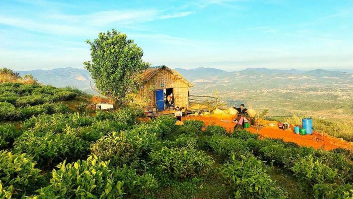 Kinh nghiệm làm homestay, farmstay