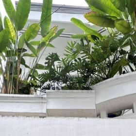 Bán nhà Đường số 8 Quận Gò Vấp dưới 7 tỷ