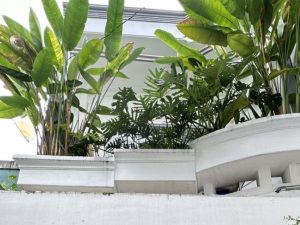 Bán nhà Đường số 8 Quận Gò Vấp dưới 7 tỷ