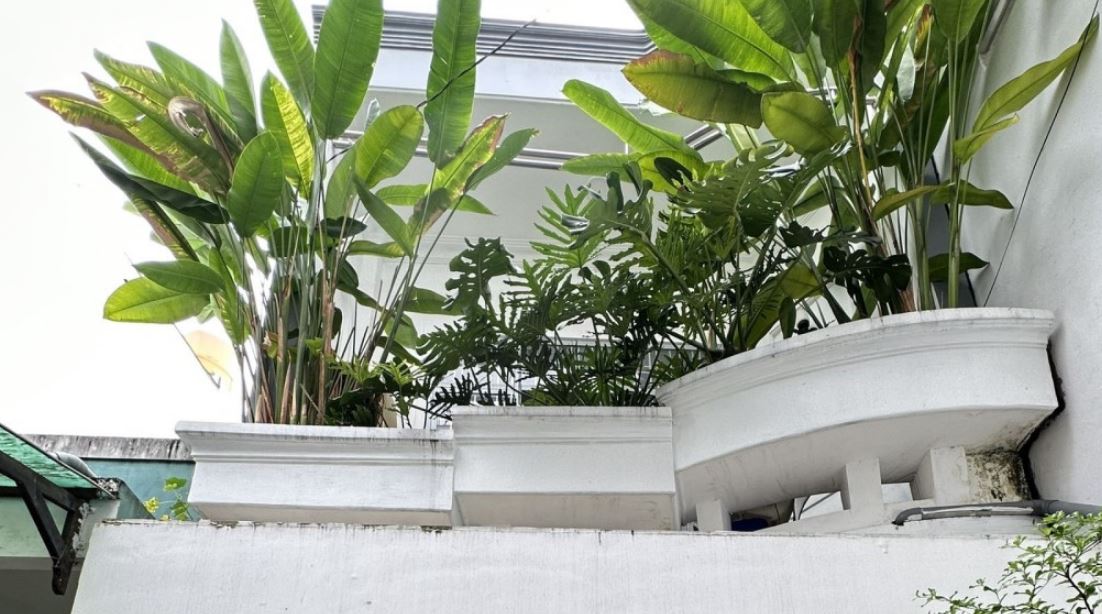 Bán nhà Đường số 8 Quận Gò Vấp dưới 7 tỷ Bán nhà Đường số 8 Quận Gò Vấp dưới 7 tỷ