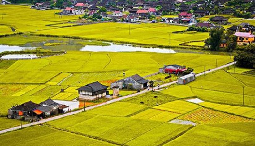 Chuyển đổi đất nông nghiệp lên thổ cư cần điều kiện và thủ tục gì