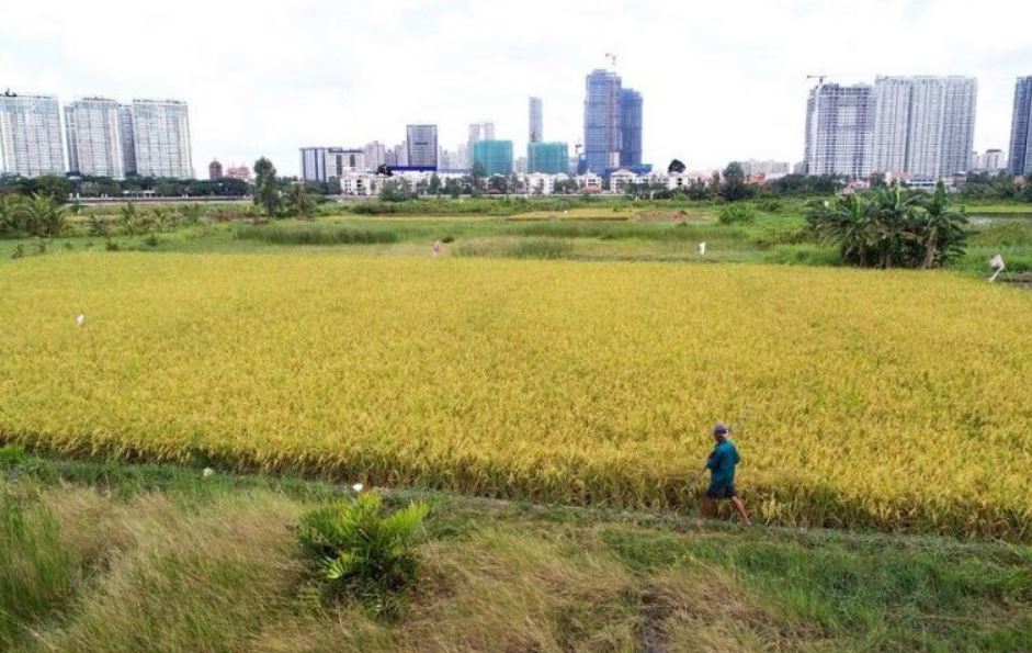 Chuyển đổi đất nông nghiệp lên thổ cư cần điều kiện và thủ tục gì